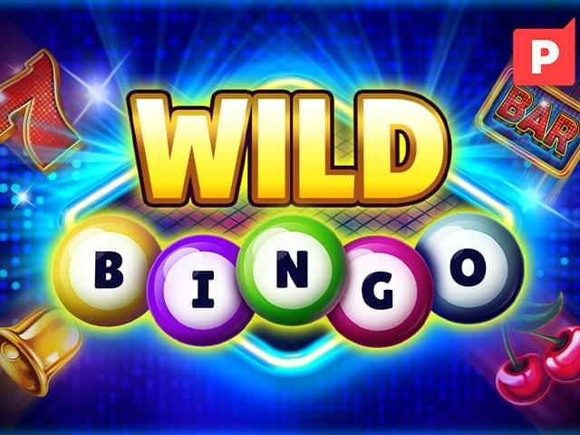 qq888 Bingo Selvagem